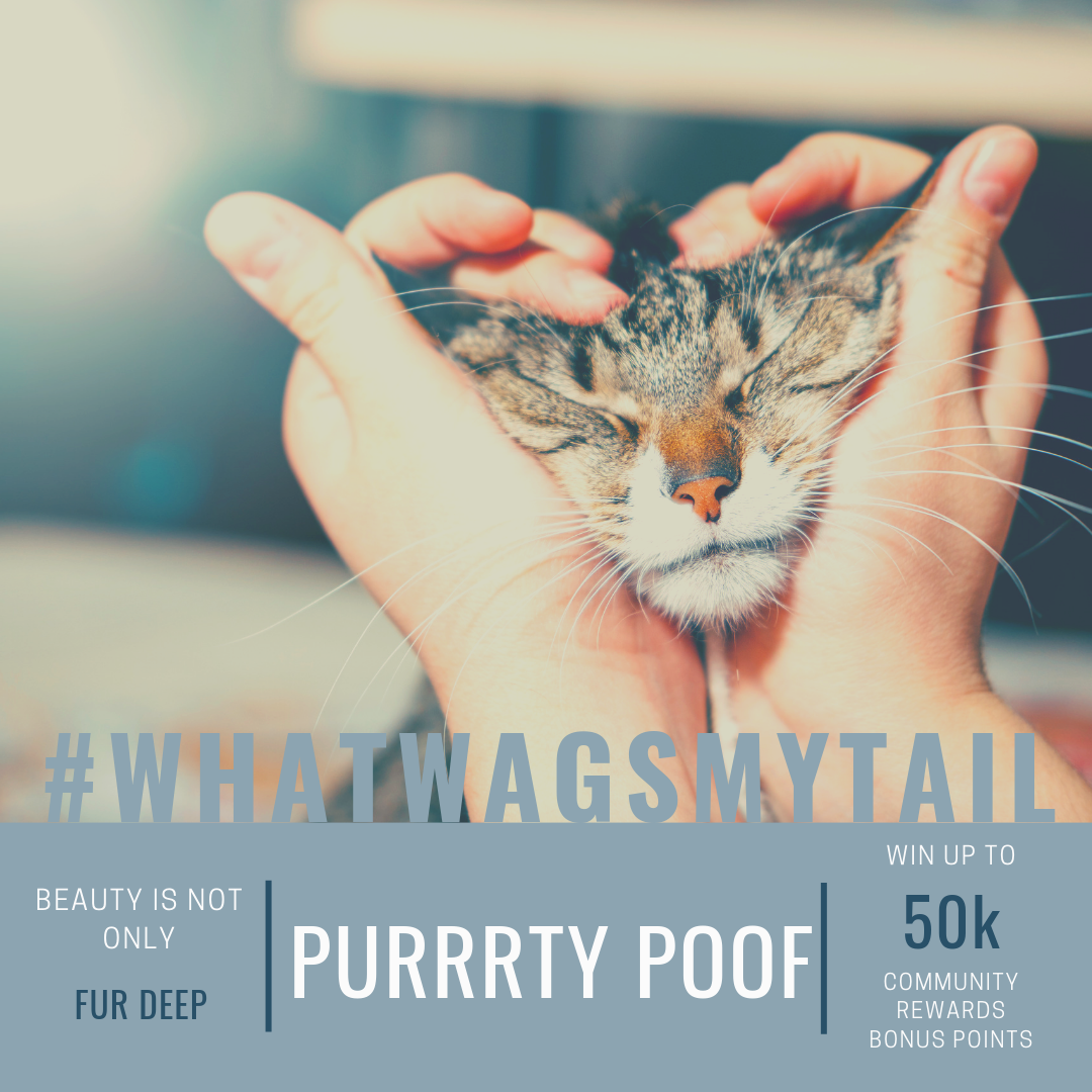 Resident Reviews of Oak Ramble Apartments